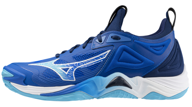 Mizuno wave Momentum 3 